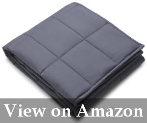 best heavy winter blanket reviews