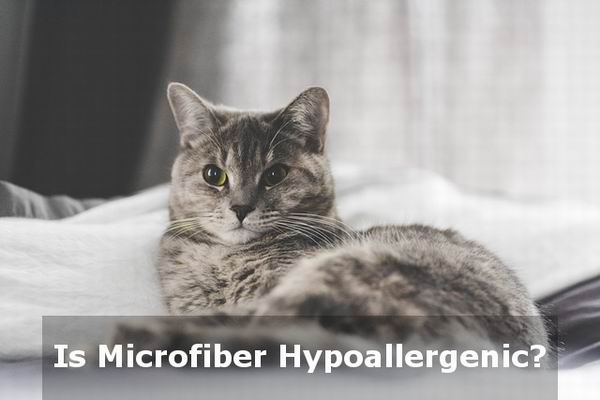 is microfiber hypoallergenic or no